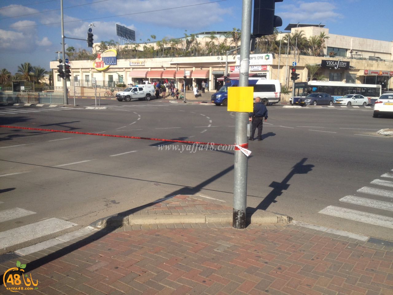 wolfson ejsna (7).jpg